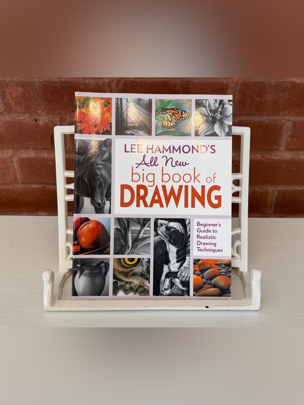 Lee Hammond’s All New Big Book of Drawing